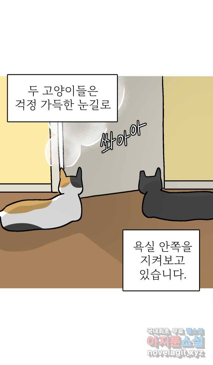 애옹식당 36화 쏴아쏴아 주룩주룩 3