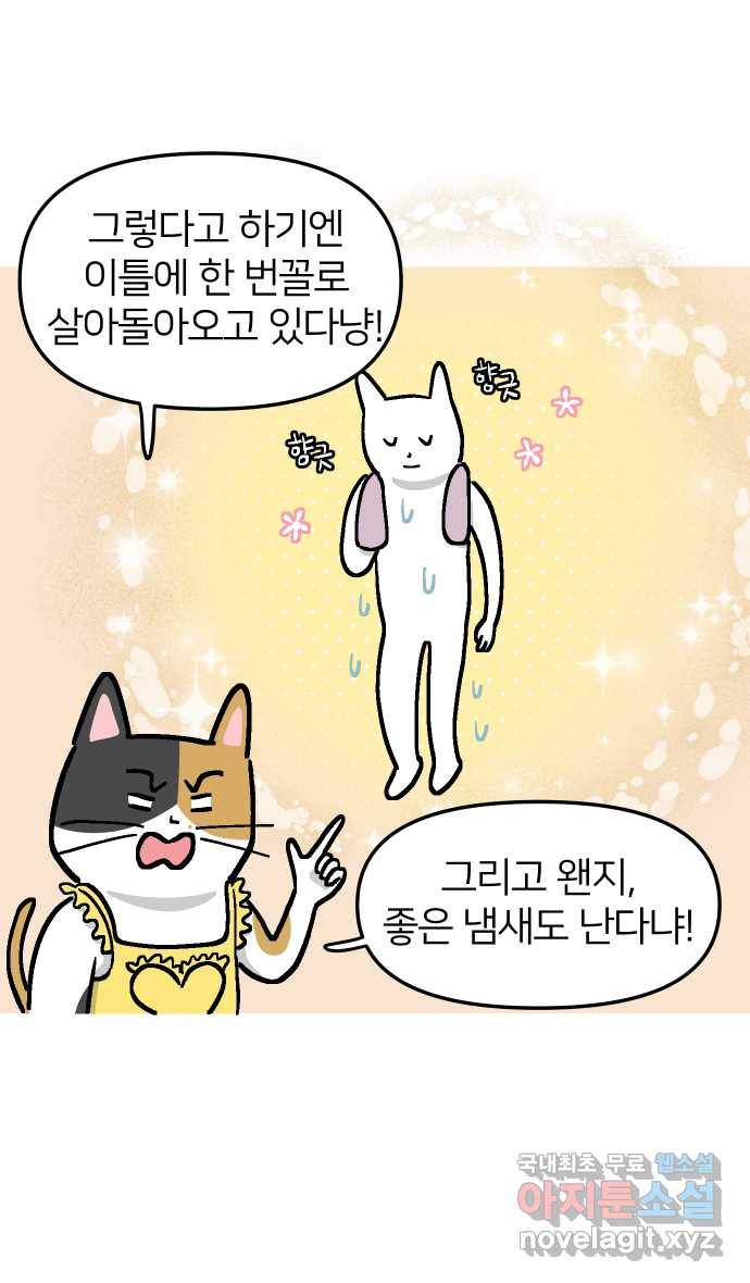 애옹식당 36화 쏴아쏴아 주룩주룩 8