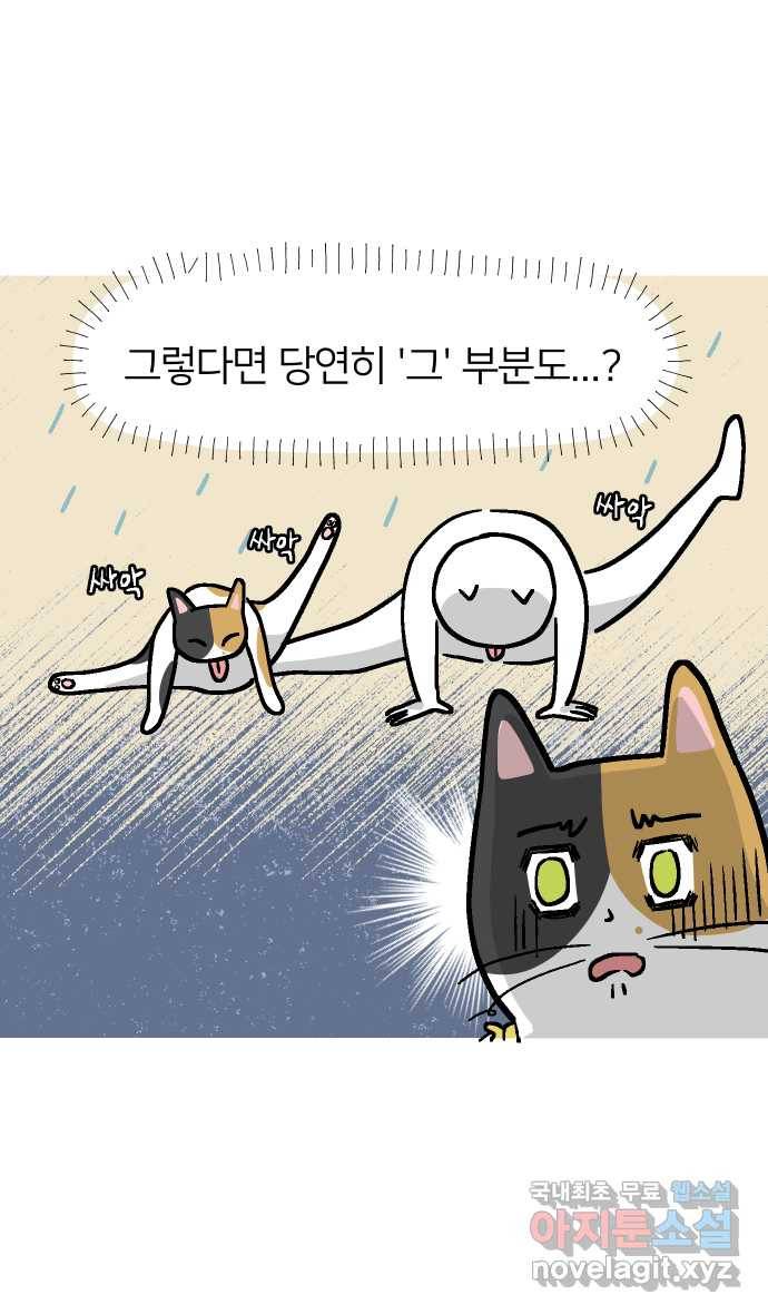 애옹식당 36화 쏴아쏴아 주룩주룩 10