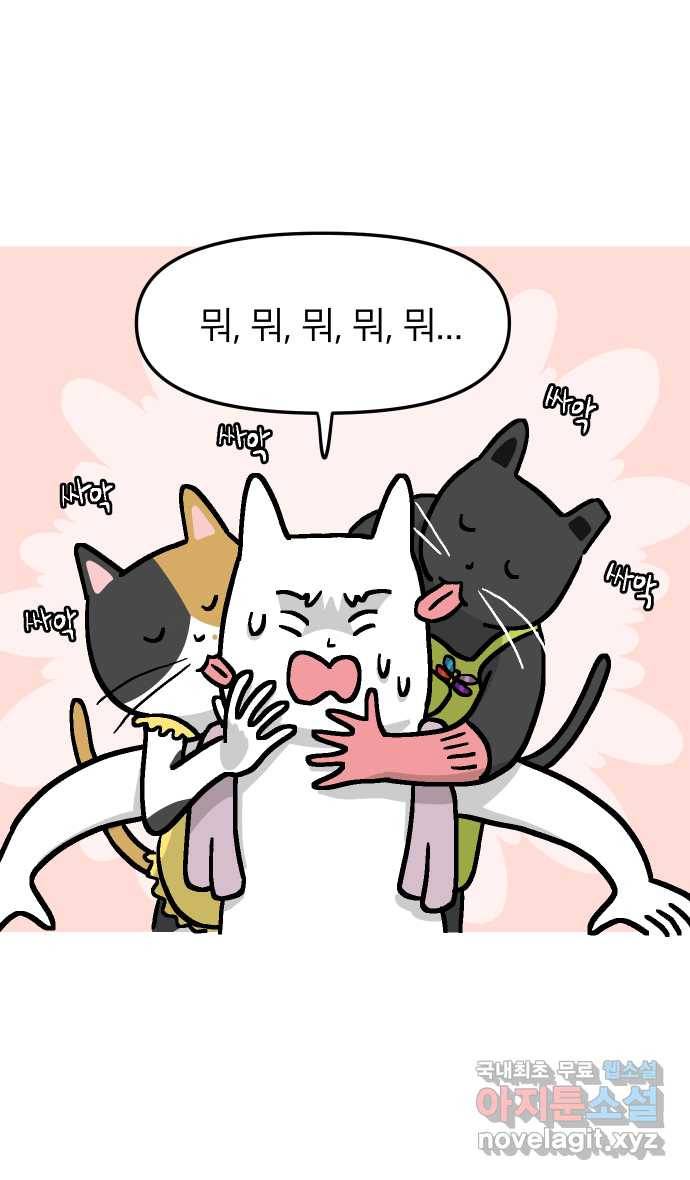 애옹식당 36화 쏴아쏴아 주룩주룩 29