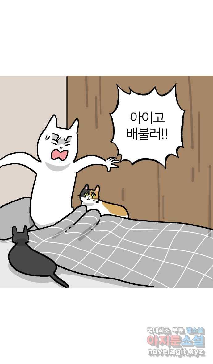 애옹식당 36화 쏴아쏴아 주룩주룩 41
