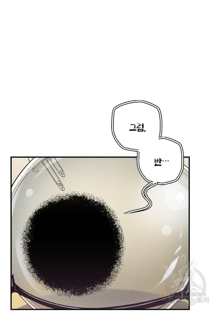 강철의 연금술사  207화 84