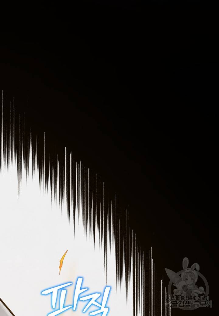 강철의 연금술사  207화 103