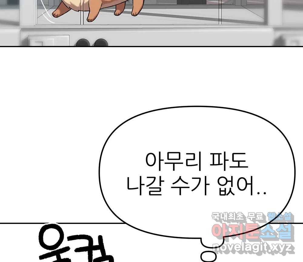 무지개다리 파수꾼 79화 12