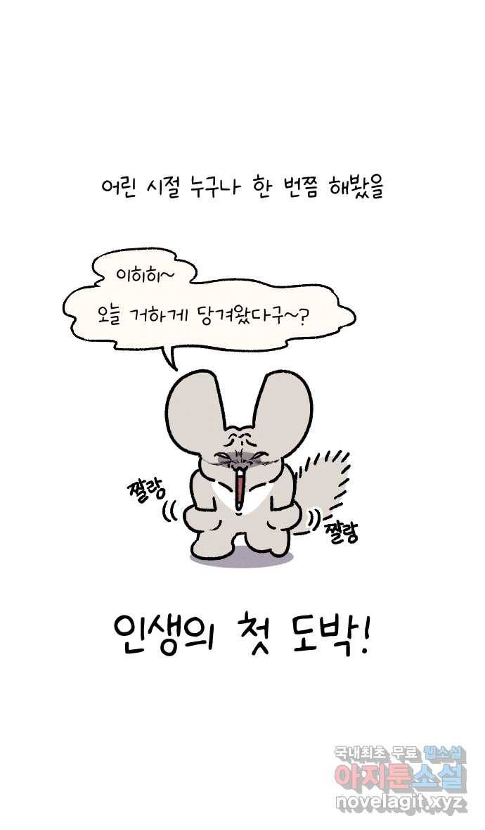 안녕, 나의 수집 02. 달팽이 모형 1