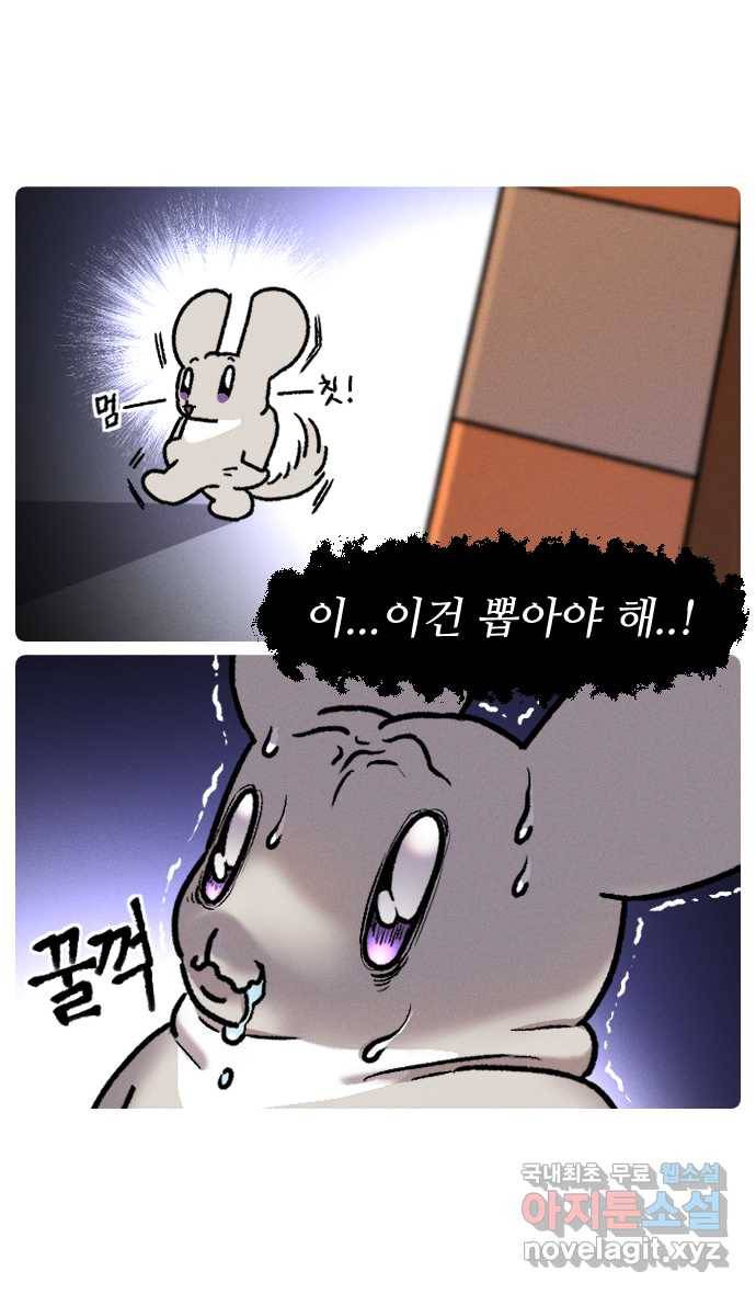 안녕, 나의 수집 02. 달팽이 모형 6