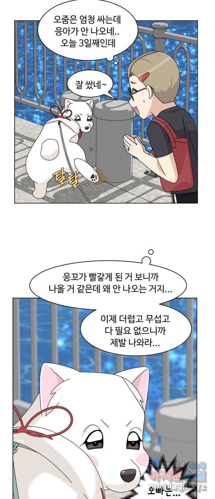 개를 낳았다 시즌2 113화 2