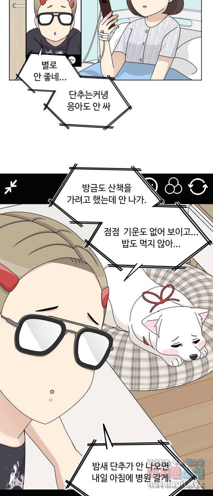 개를 낳았다 시즌2 113화 9