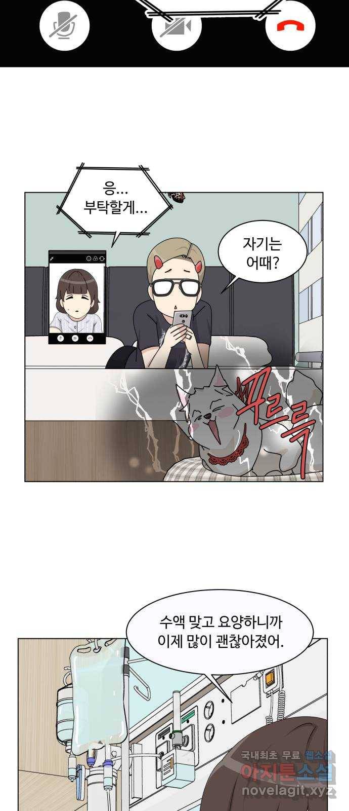 개를 낳았다 시즌2 113화 10