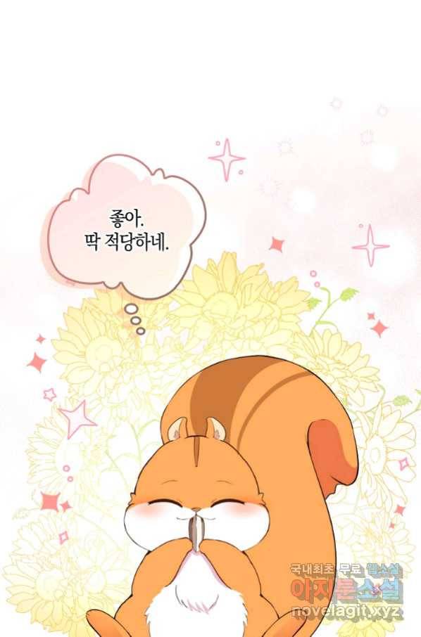 아기 다람쥐가 다 잘해요 6화 1
