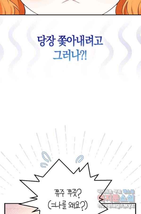 아기 다람쥐가 다 잘해요 6화 12