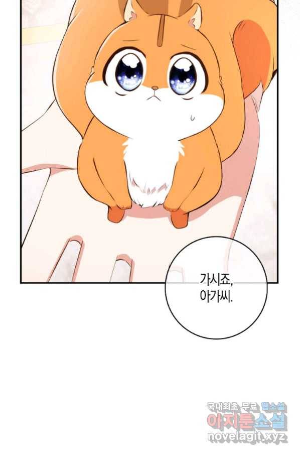 아기 다람쥐가 다 잘해요 6화 16