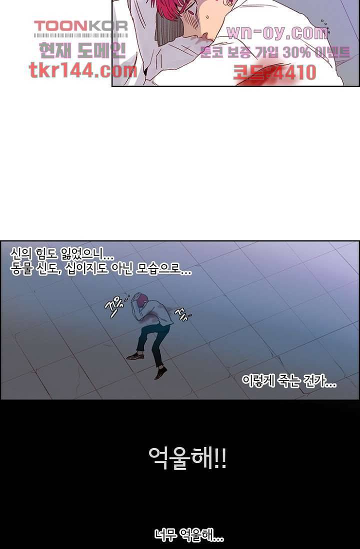 신시 55화 4