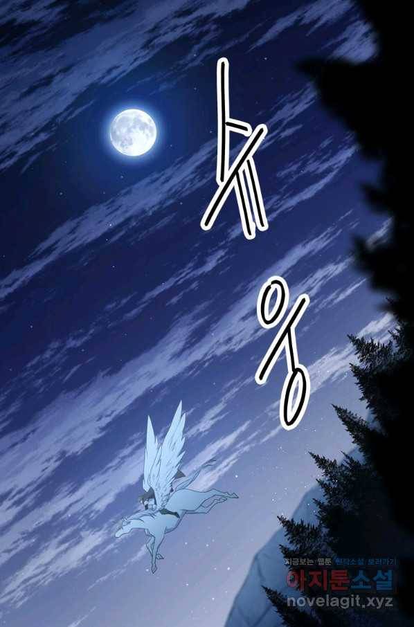 정령왕 엘퀴네스 231화 48