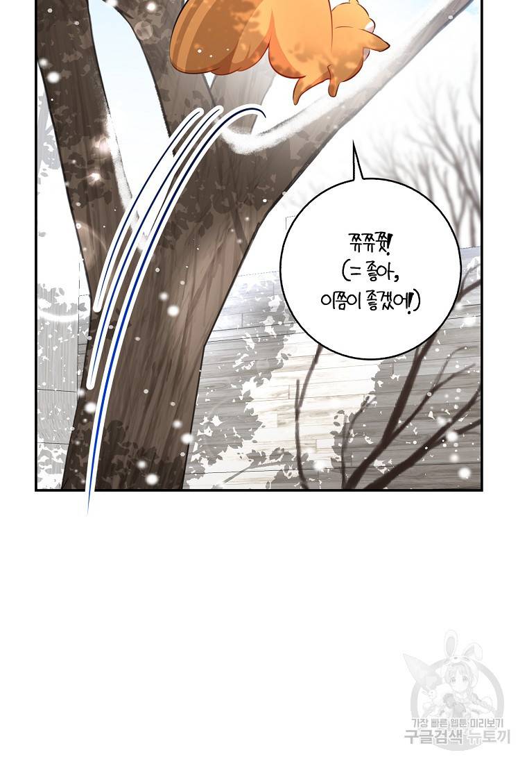 아기 다람쥐가 다 잘해요 22화 65