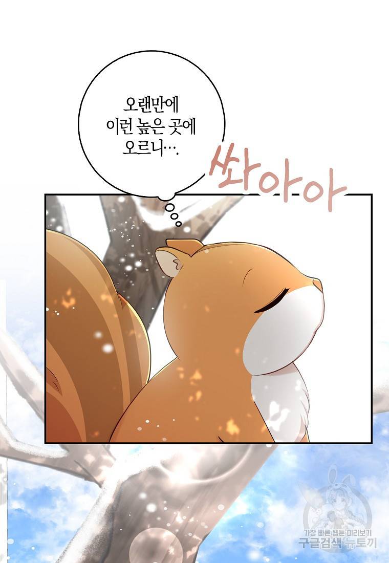 아기 다람쥐가 다 잘해요 22화 66