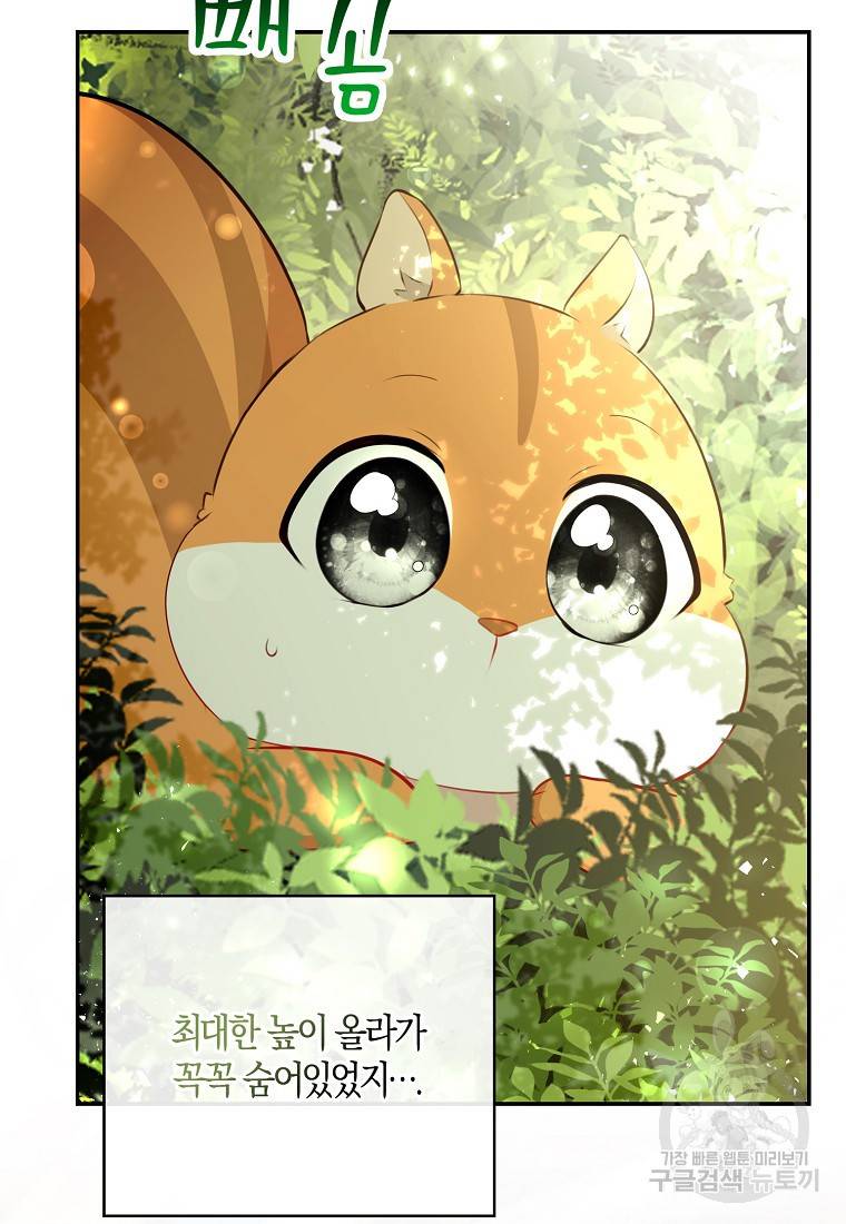 아기 다람쥐가 다 잘해요 22화 70