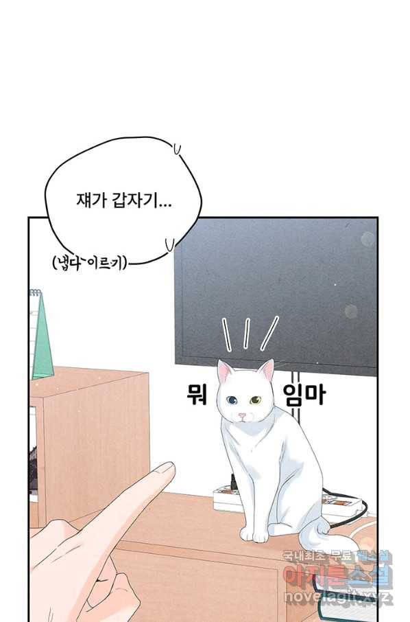 아내를 구하는 4가지 방법 66화 4