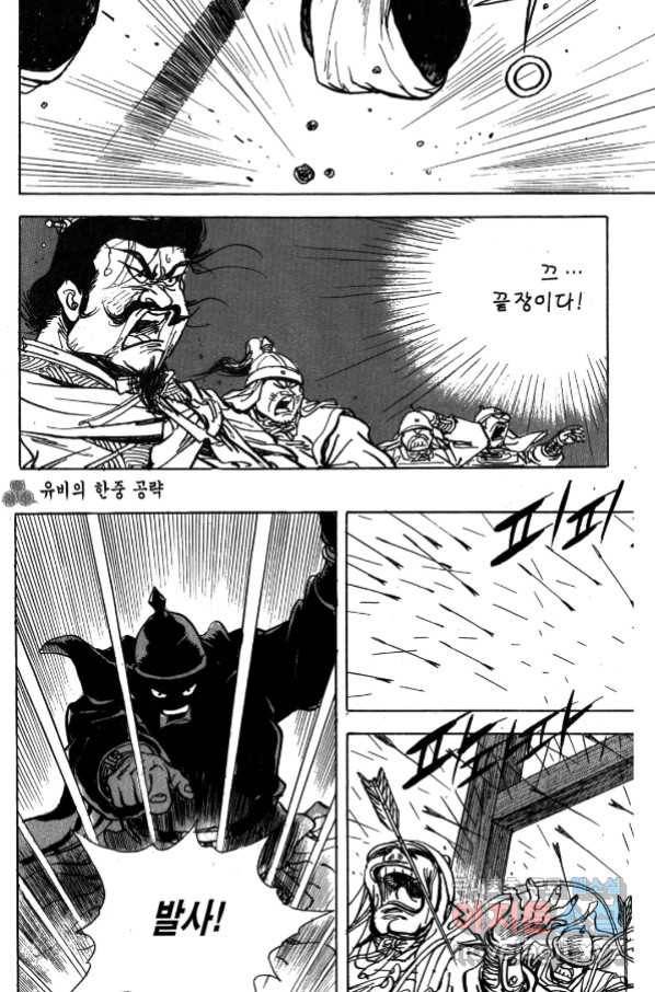 박봉성 삼국지 4부 4권 43