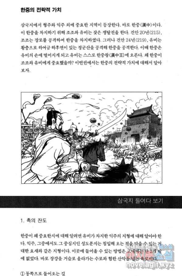박봉성 삼국지 4부 4권 173