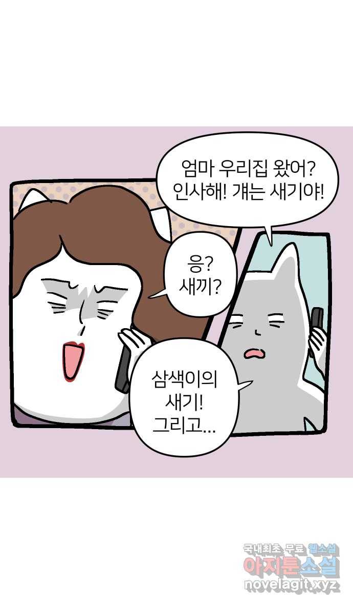 애옹식당 41화 엄마가 새기를 처음 만났을 때 10