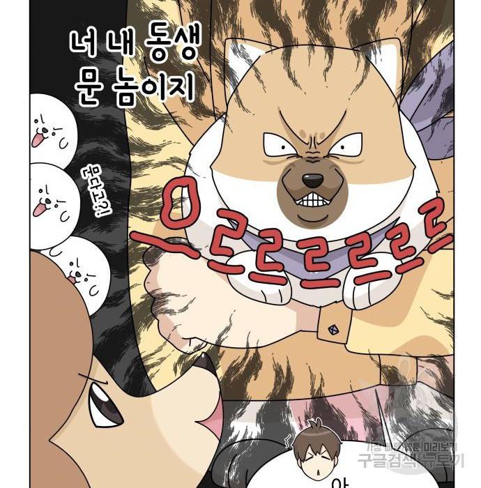 개를 낳았다 시즌2 117화 6