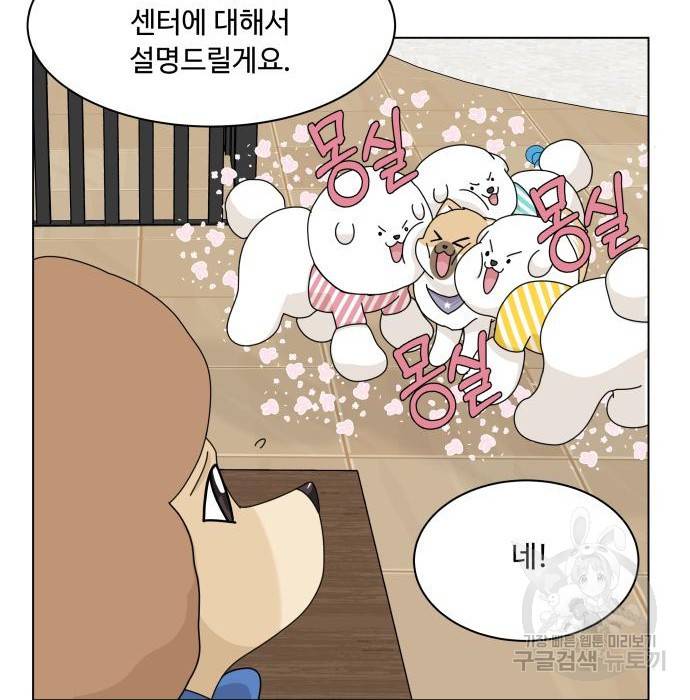 개를 낳았다 시즌2 117화 9
