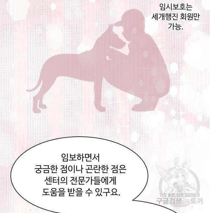 개를 낳았다 시즌2 117화 20