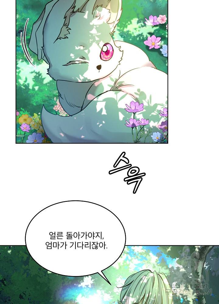 아기 신수로 환생했습니다 1화 8