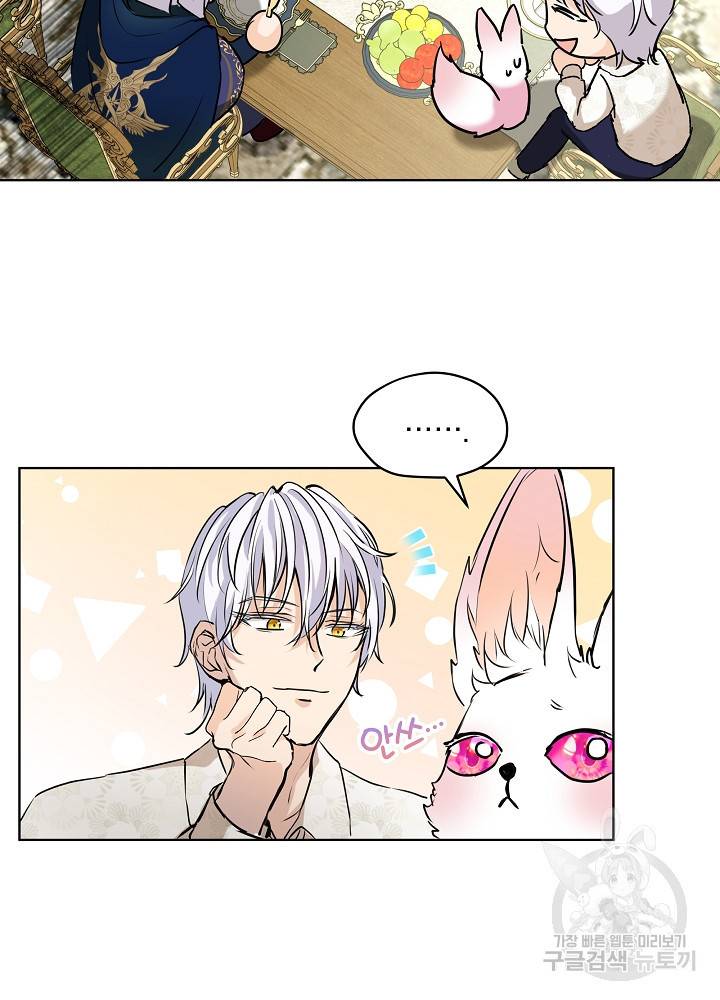 아기 신수로 환생했습니다 6화 8