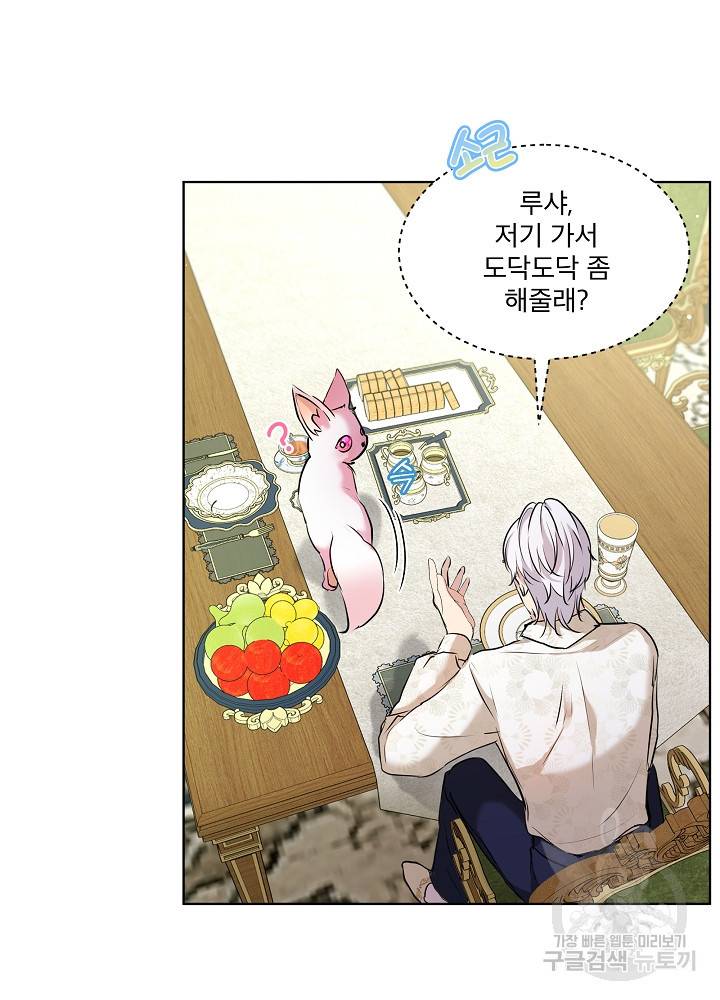 아기 신수로 환생했습니다 6화 9