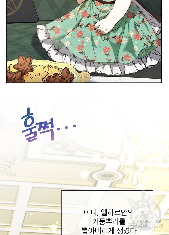 아기 신수로 환생했습니다 17화 9