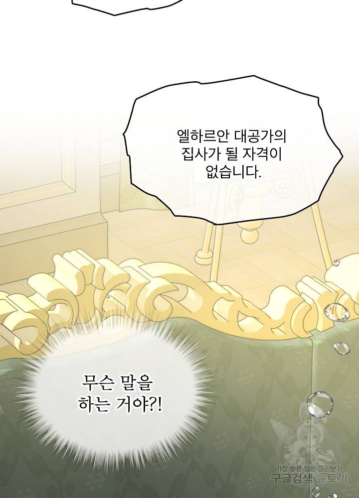 아기 신수로 환생했습니다 17화 14