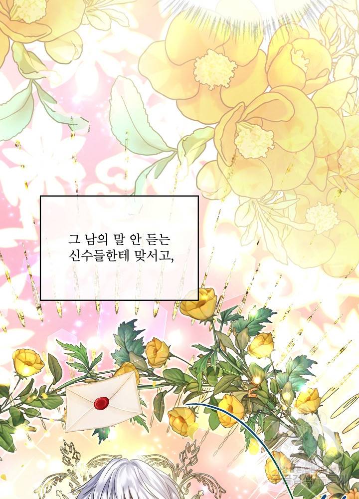 아기 신수로 환생했습니다 17화 16
