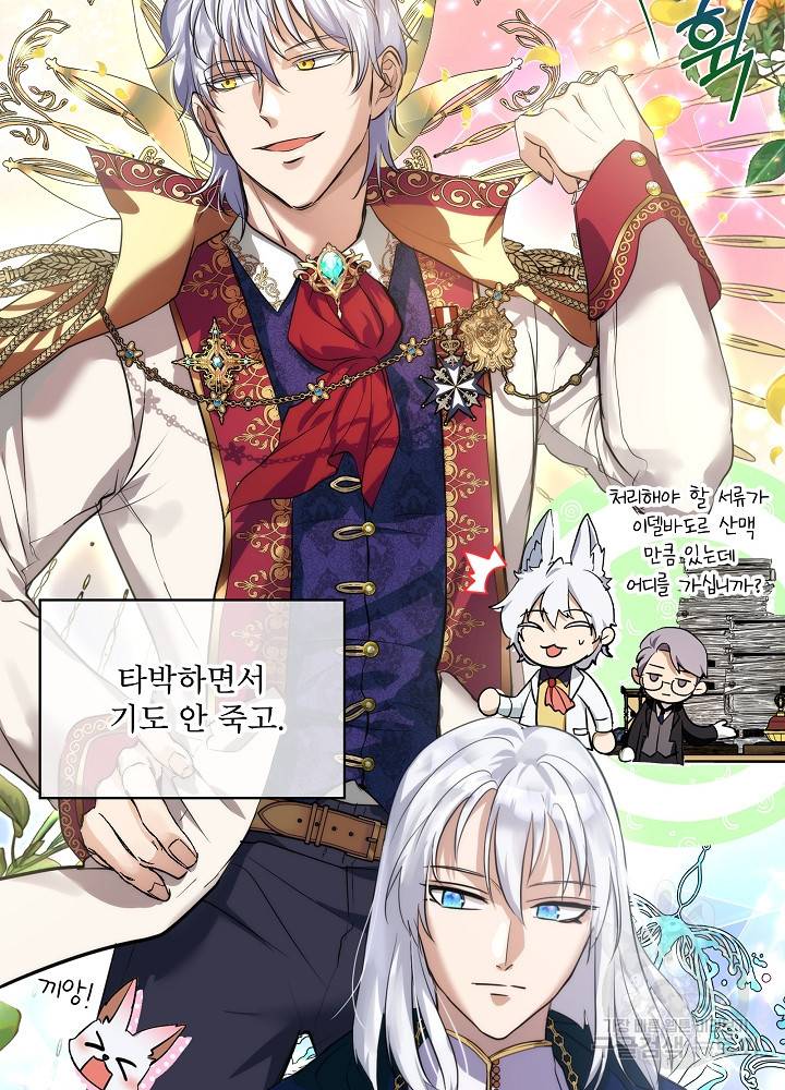 아기 신수로 환생했습니다 17화 17