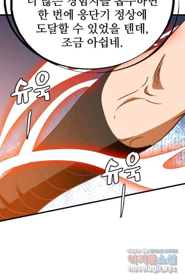 광속으로 레벨업 43화 17
