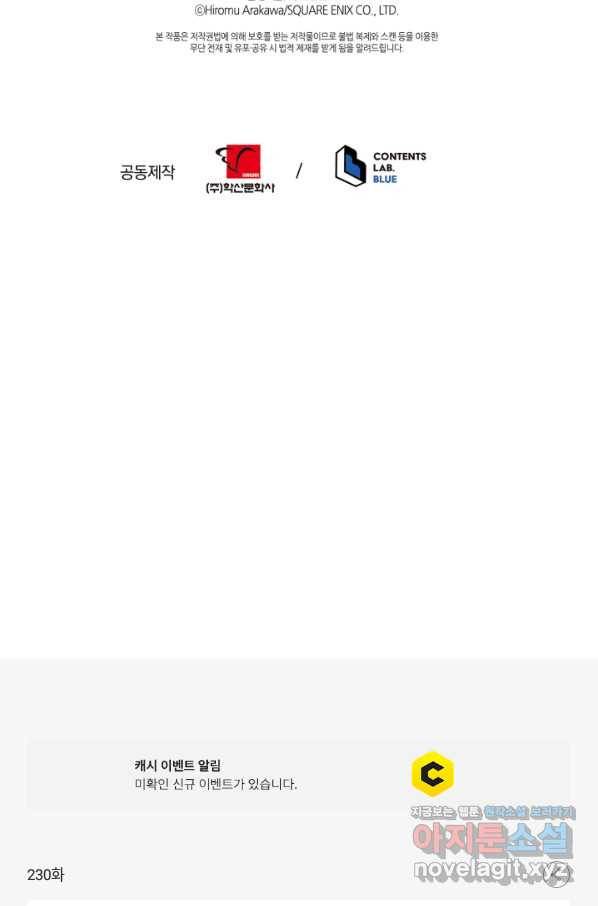 강철의 연금술사  230화 73