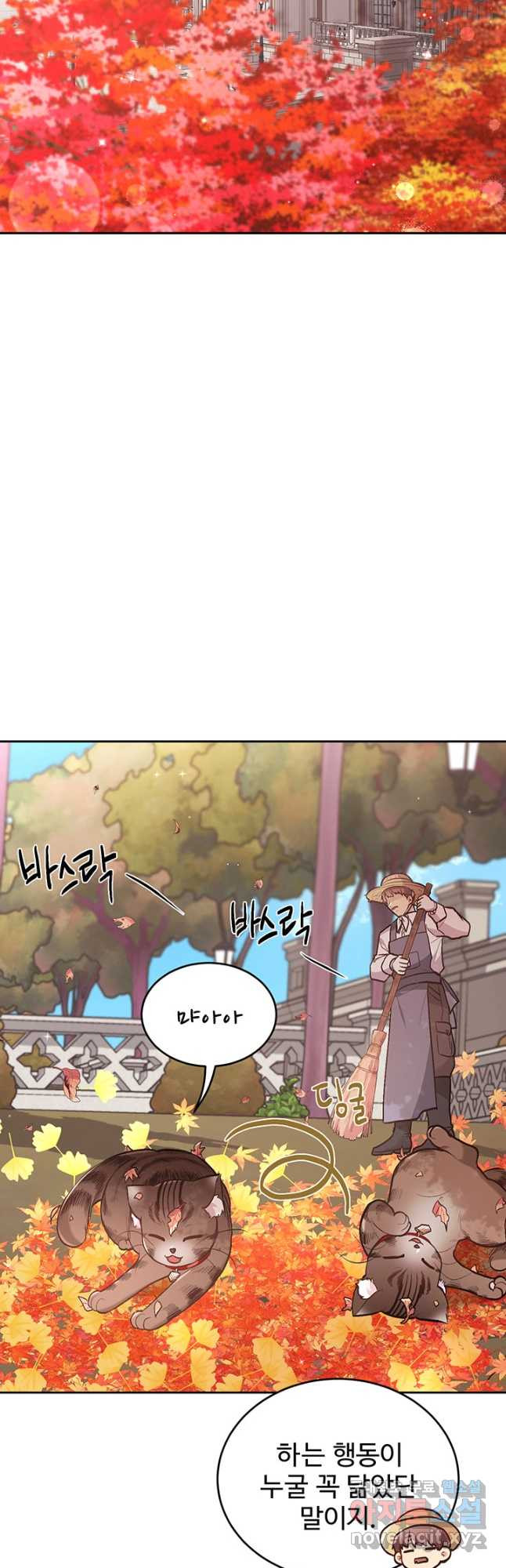 한 줄짜리 영애였을 터 140화 5