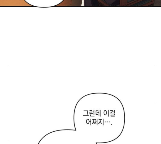 북부 공작님을 유혹하겠습니다 26화 20