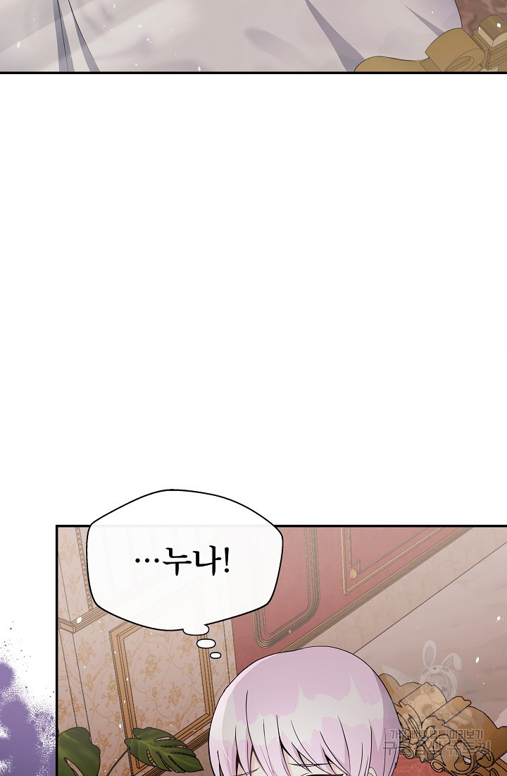 후회 남주의 시한부 누나가 되었다 3화 69