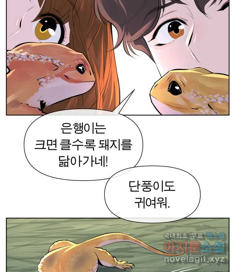케어시트 마지막화 사이클 73