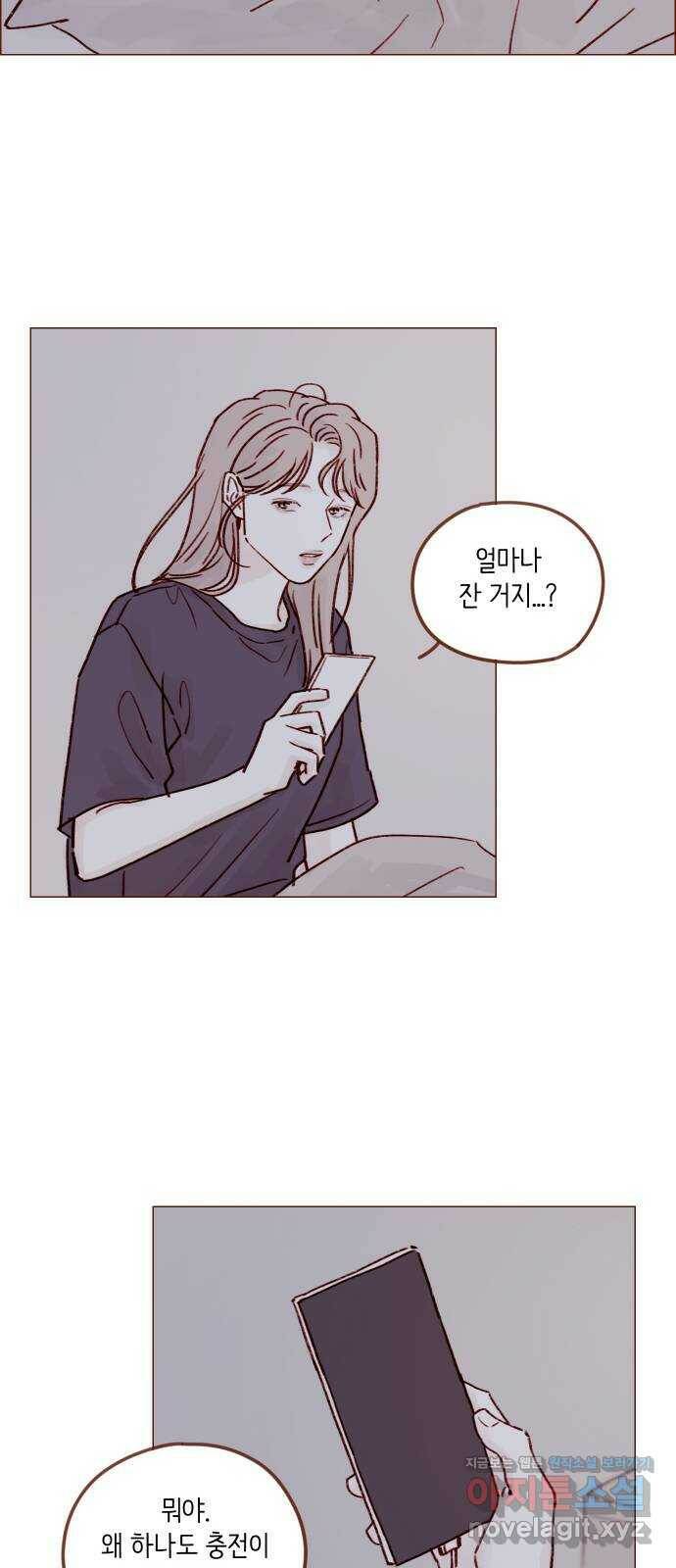 홍시는 날 좋아해! 215화 : 지금 그게 중요해? 15