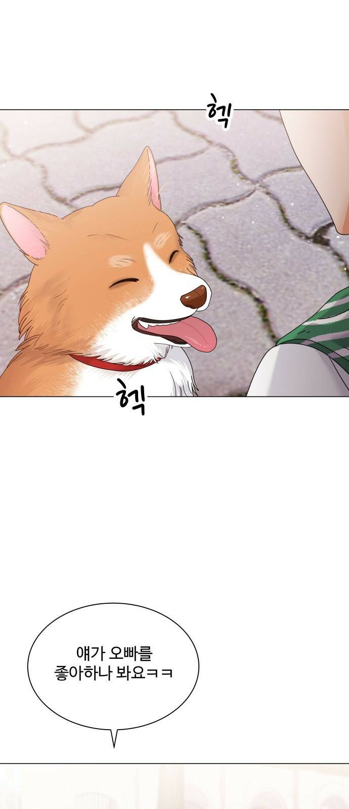 물어보는 사이 67화 12