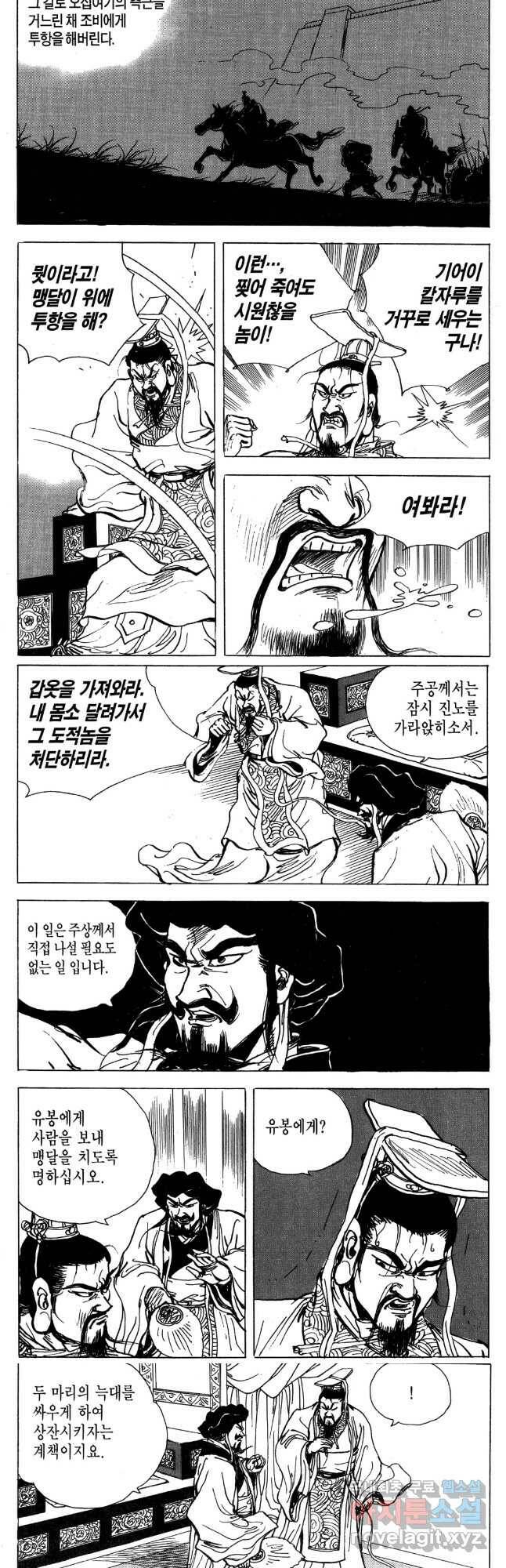 박봉성 삼국지 4부 11권 10