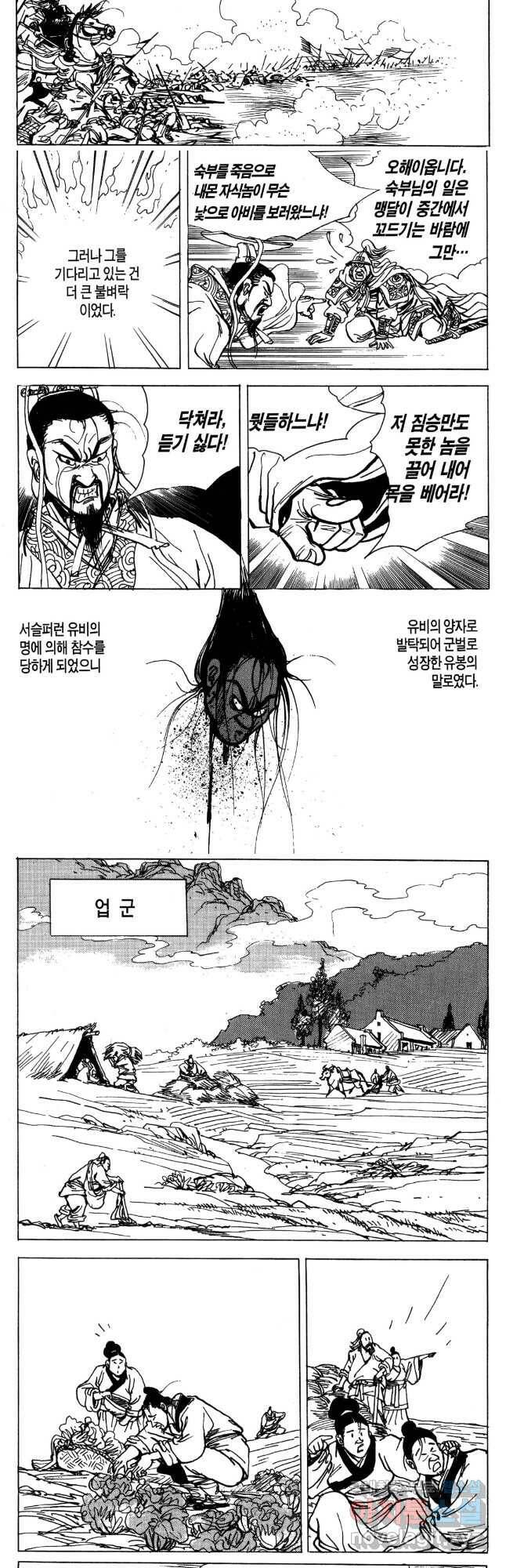 박봉성 삼국지 4부 11권 19