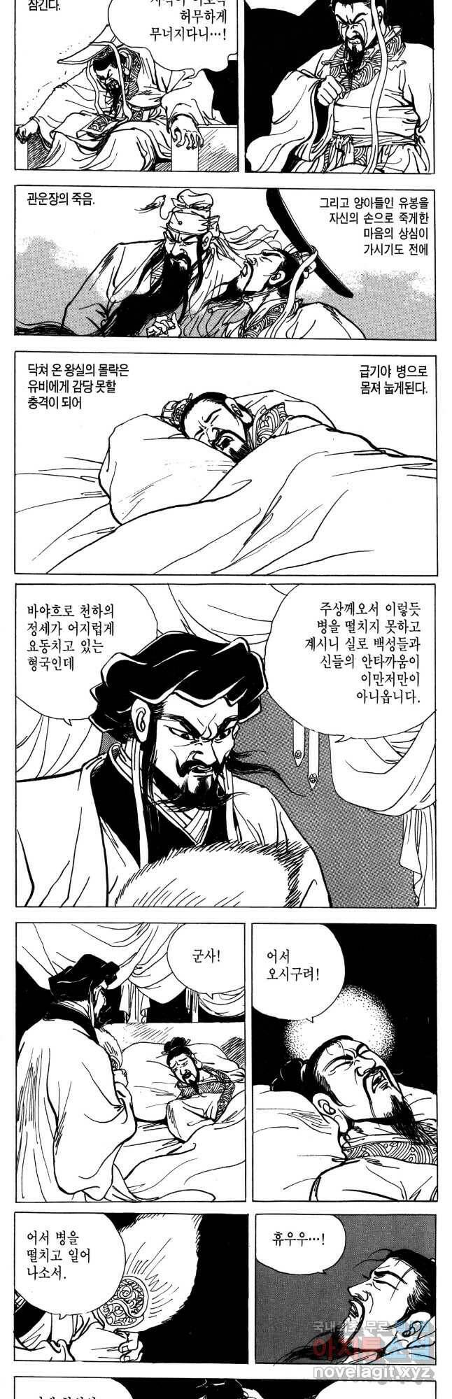 박봉성 삼국지 4부 11권 29