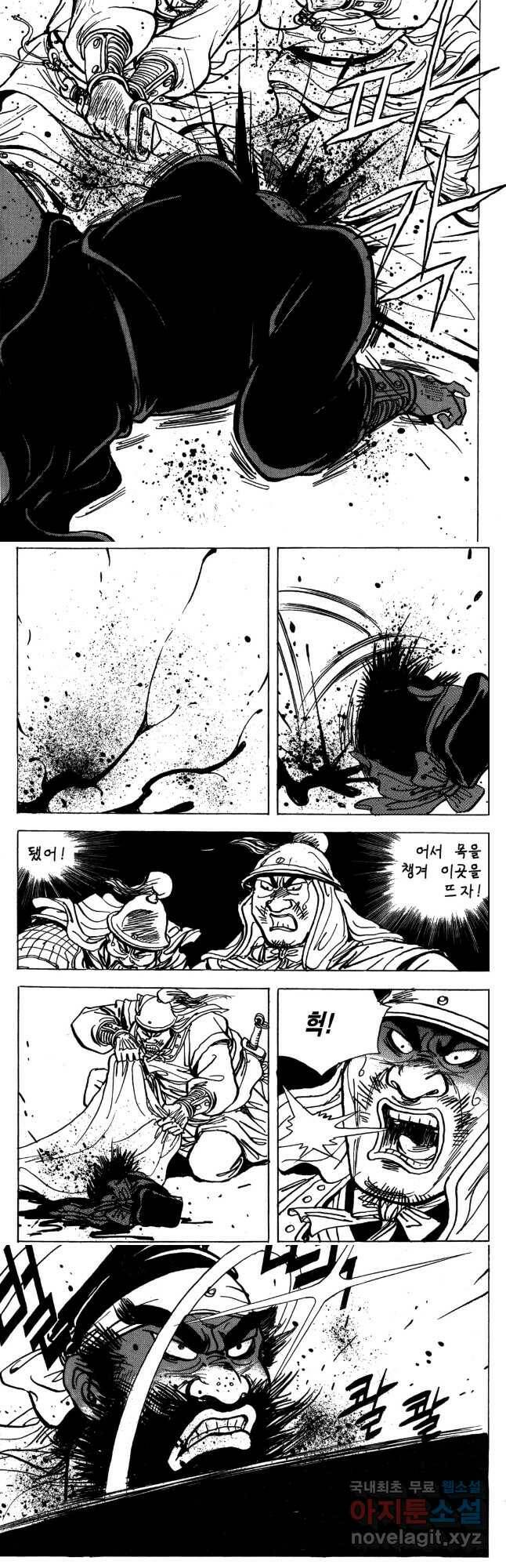 박봉성 삼국지 4부 11권 69