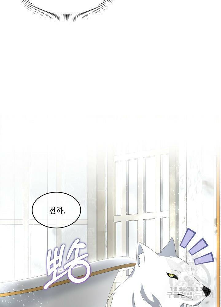 남주를 임시보호 중입니다 13화 59