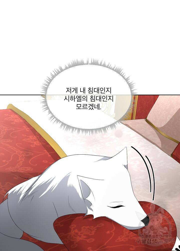 남주를 임시보호 중입니다 15화 8