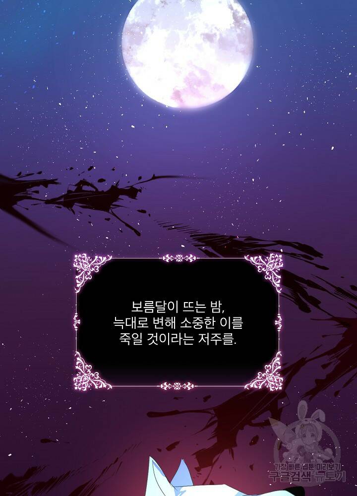 남주를 임시보호 중입니다 15화 64